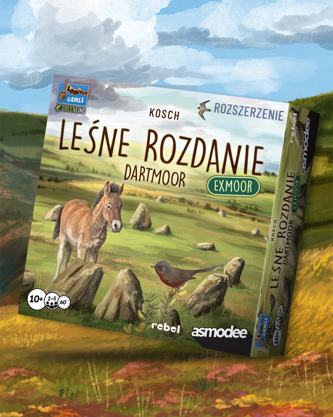 Leśne rozdanie: Dartmoor - Exmoor 