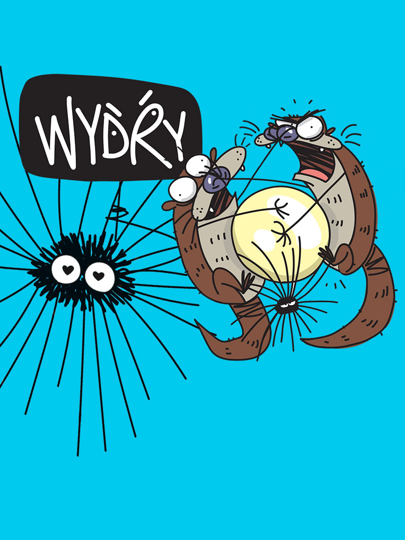Wydry