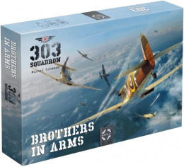 303 Squadron: Brothers in Arms