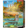 Leśne rozdanie: Smoky Mountains