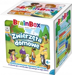 BrainBox - Zwierzęta domowe