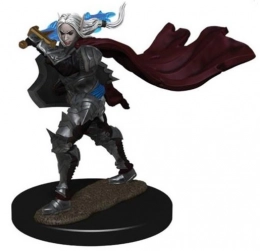 Pathfinder Battles: Premium figures - Elf Champion Female 