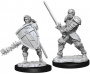 Dungeons & Dragons: Nolzur's Marvelous Miniatures - Male Human Fighter