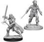 Dungeons & Dragons: Nolzur's Marvelous Miniatures - Vampire Hunters