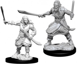 Dungeons & Dragons: Nolzur's Marvelous Miniatures - Bandits