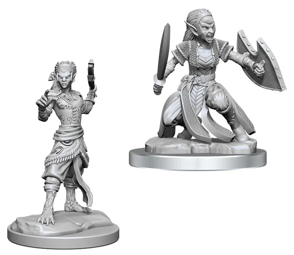 Dungeons & Dragons: Nolzur’s Marvelous Miniatures - Shifter Fighter Female