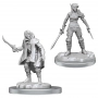 Dungeons & Dragons: Nolzur’s Marvelous Miniatures - Elf Rogue and Half-Elf Rogue Protégé