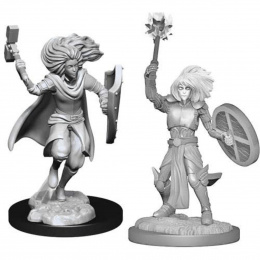 Dungeons & Dragons: Nolzur’s Marvelous Miniatures - Changeling Cleric