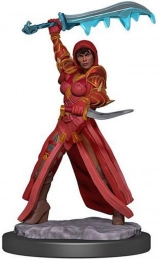 Dungeons & Dragons: Icons of the Realms - Premium Figures - Human Rogue Female