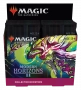 Magic The Gathering: Modern Horizons 2 - Collector booster (12)