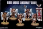 Blood Angels Sanguinary Guard (2014)