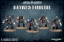 Deathwatch Terminators
