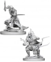 Dungeons & Dragons: Nolzur's Marvelous Miniatures - Githzerai