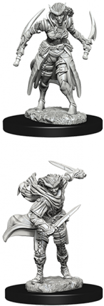 Dungeons & Dragons: Nolzur's Marvelous Miniatures - Female Tiefling Rogue