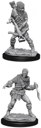 WizKids Deep Cuts: Unpainted Miniatures - Bandits