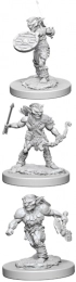 Dungeons & Dragons: Nolzur's Marvelous Miniatures - Goblins