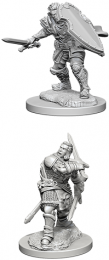 Dungeons & Dragons: Nolzur's Marvelous Miniatures - Male Human Paladin