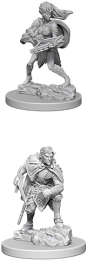 Dungeons & Dragons: Nolzur's Marvelous Miniatures - Drow