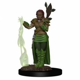 Dungeons & Dragons: Icons of the Realms - Premium Figures - Human Female Druid