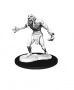 Dungeons & Dragons: Nolzur's Marvelous Miniatures - Raging Troll