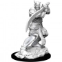 Dungeons & Dragons: Nolzur's Marvelous Miniatures - Efreeti 