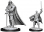 Dungeons & Dragons: Nolzur's Marvelous Miniatures - Human Paladin Male