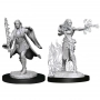 Dungeons & Dragons: Nolzur's Marvelous Miniatures - Female Multiclass Warlock & Sorcerer