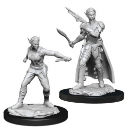 Dungeons & Dragons: Nolzur's Marvelous Miniatures - Female Shifter Rogue 
