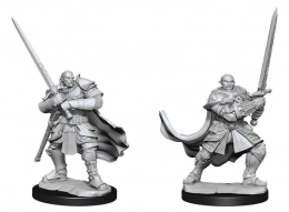 Dungeons & Dragons: Nolzur's Marvelous Miniatures - Half-Orc Paladin Male