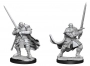 Dungeons & Dragons: Nolzur's Marvelous Miniatures - Half-Orc Paladin Male