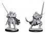 Dungeons & Dragons: Nolzur's Marvelous Miniatures - Half-Orc Paladin Male