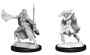 Dungeons & Dragons: Nolzur's Marvelous Miniatures - Winter Eladrin & Spring Eladrin