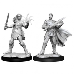 Magic the Gathering: Unpainted Magic Miniatures - Rowan and Will Kenrith