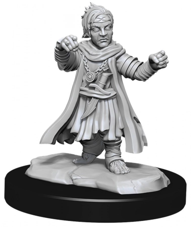 Pathfinder Battles: Deep Cuts - Halfling Monk Male