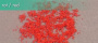 MiniNatur: Czerwone kwiaty 15 cm