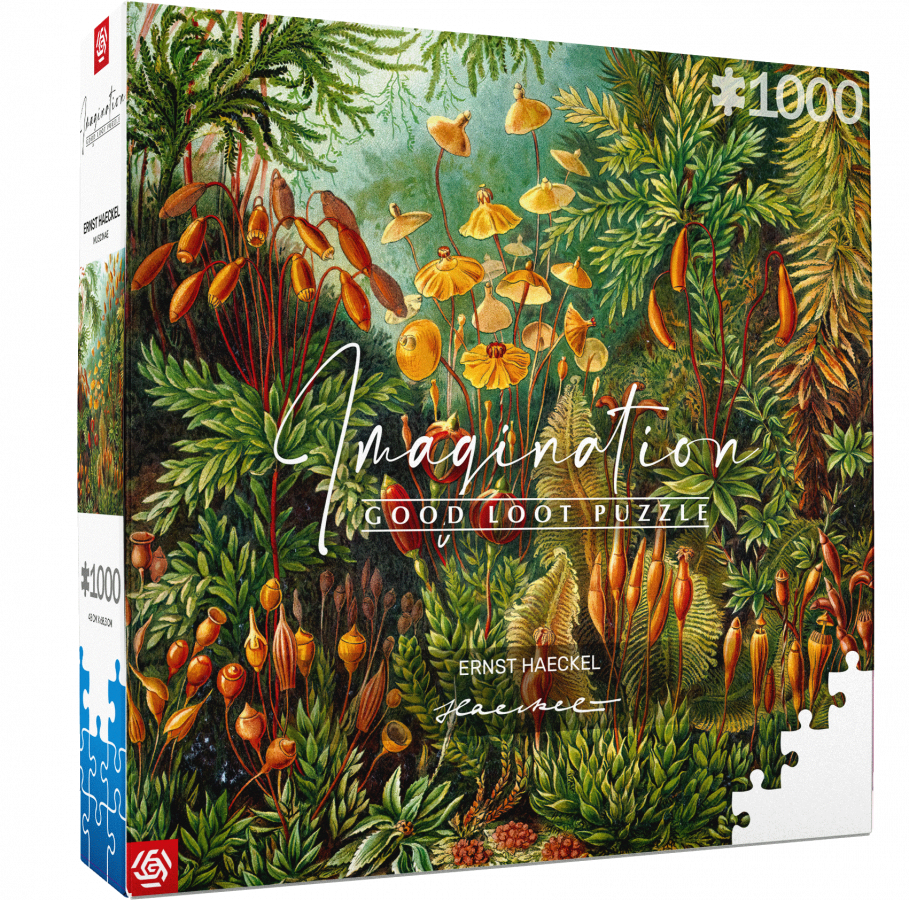 Good Loot Puzzle: Imagination - Ernst Haeckel - Muscinae (1000 elementów)