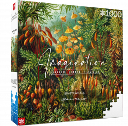 Good Loot Puzzle: Imagination - Ernst Haeckel Muscinae (1000 elementów)