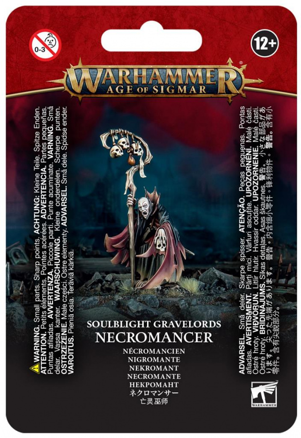 Warhammer Age of Sigmar: Soulblight Gravelords - Necromancer