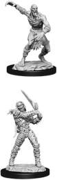 Dungeons & Dragons: Nolzur's Marvelous Miniatures - Wight & Ghast