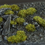 Gamers Grass: Grass tufts - 2 mm - Dark Moss (Small)