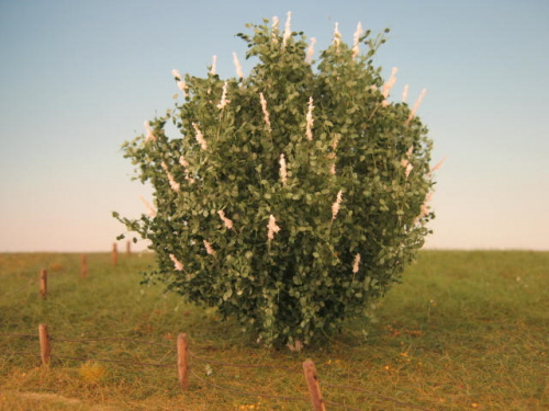MiniNatur: Wiosenne krzewy bzu 4-5 cm (2 szt)