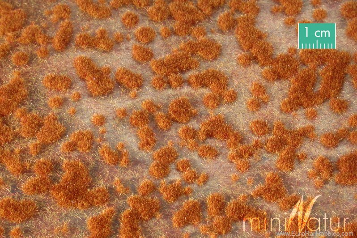MiniNatur: Tuft - Wiosenne kępki mchu (42x1 cm)