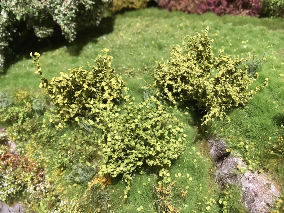 MiniNatur: Zielone wiosenne krzewy