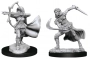 Dungeons & Dragons: Nolzur's Marvelous Miniatures - Air Genasi Female