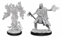 Dungeons & Dragons: Nolzur's Marvelous Miniatures - Allip & Deathlock