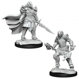 Dungeons & Dragons: Nolzur's Marvelous Miniatures  - Dragonborn Fighter Female