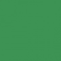 Goblin Green Paint