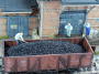 Juweela: Węgiel czarny 100 g