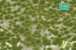 MiniNatur: Tuft - Krótka wczesnojesienna trawa (42x15 cm)