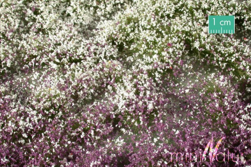 MiniNatur: Tuft - Wczesnojesienna kwitnąca roślinność 2 (42x15 cm)